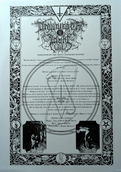 Drowning The Light - Enslaved By The Cave & Paradise Slaves (VINYL) | Near Mint (NM) Near Mint (NM)
