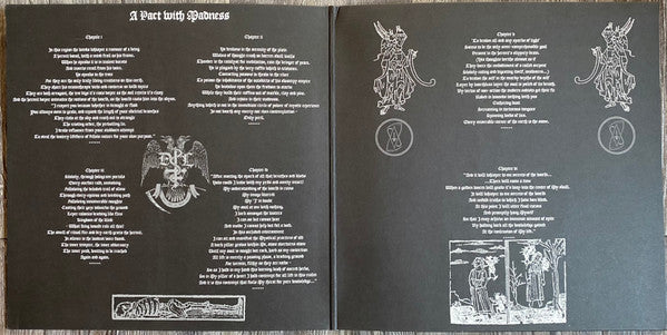 Drowning The Light - A Pact With Madness (VINYL) | Near Mint (NM) Near Mint (NM)