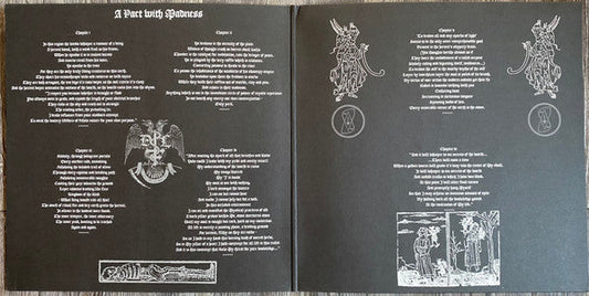 Drowning The Light - A Pact With Madness (VINYL) | Near Mint (NM) Near Mint (NM)