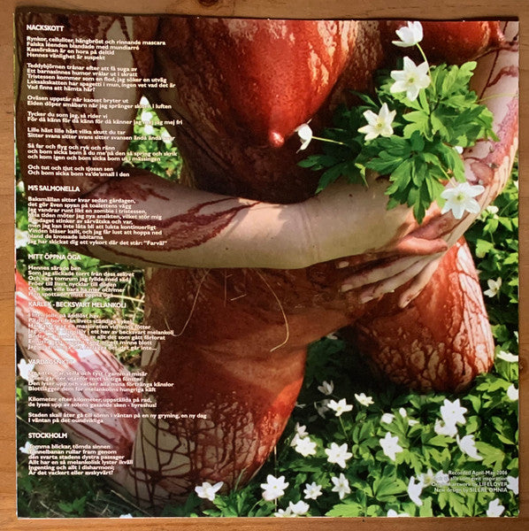 Lifelover - Pulver (VINYL) | Near Mint (NM) Near Mint (NM)
