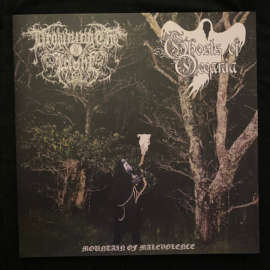 Drowning The Light - Mountain Of Malevolence (VINYL) | Near Mint (NM or M-)
