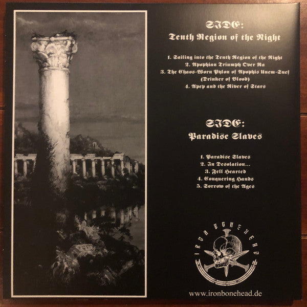 Drowning The Light - Tenth Region Of The Night & Paradise Slaves (VINYL) | Near Mint (NM or M-) Near Mint (NM)