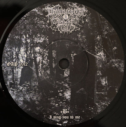 Drowning The Light - Dead Soul Requiem (7") | Near Mint (NM or M-) Near Mint (NM)