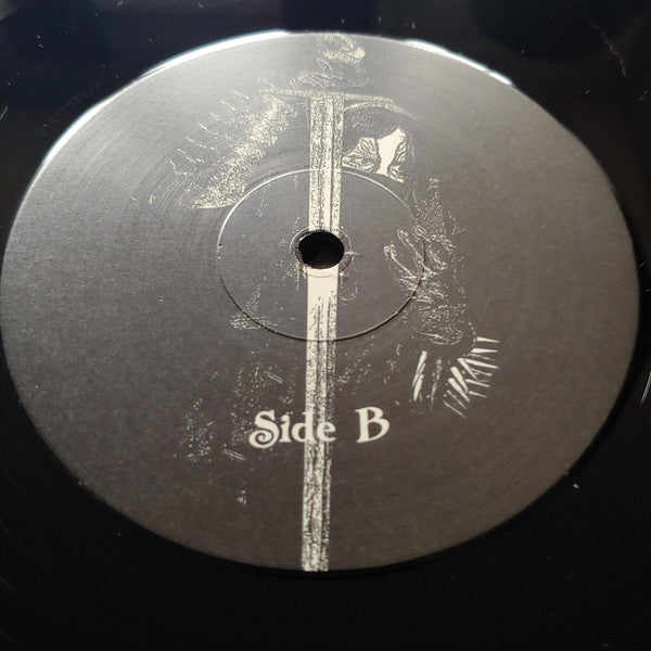 Forgotten Kingdoms - A Kingdom In Ruin (VINYL) | Near Mint (NM or M-)