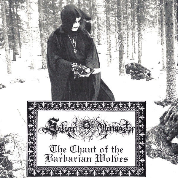 Aryan Blood - Strength / Pride / Nobility / The Chant Of Barbarian Wolves (7" VINYL) | Near Mint (NM) Near Mint (NM)