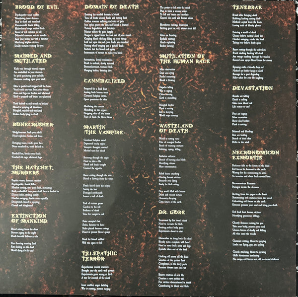 Mortician - Domain Of Death (VINYL) | Near Mint (NM) Near Mint (NM)