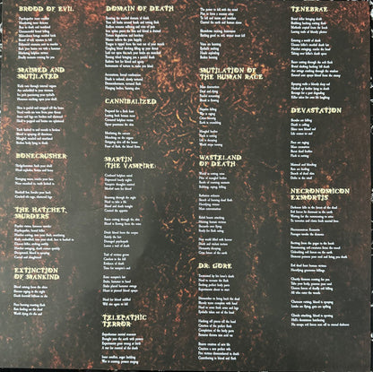 Mortician - Domain Of Death (VINYL) | Near Mint (NM) Near Mint (NM)