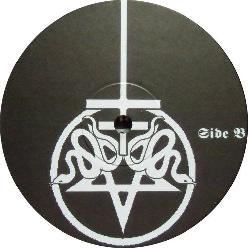 Drowning The Light - The Fading Rays Of The Sun (10" vinyl) | Near Mint (NM)