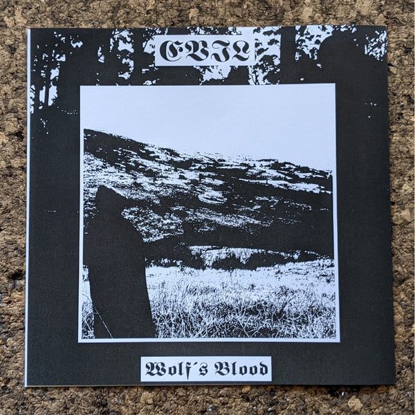 Drowning The Light - A Reflection Of The Past / Where The Sun Was Never Born (VINYL + 7") | Near Mint (NM or M-)