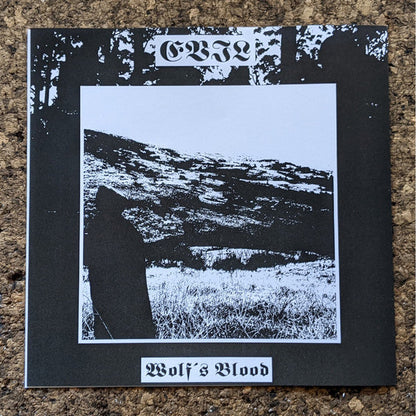 Drowning The Light - A Reflection Of The Past / Where The Sun Was Never Born (VINYL + 7") | Near Mint (NM or M-)