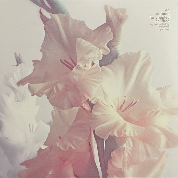 An Autumn For Crippled Children - Try Not To Destroy Everything You Love (VINYL) | Near Mint (NM) Near Mint (NM)