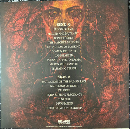 Mortician - Domain Of Death (VINYL) | Near Mint (NM) Near Mint (NM)