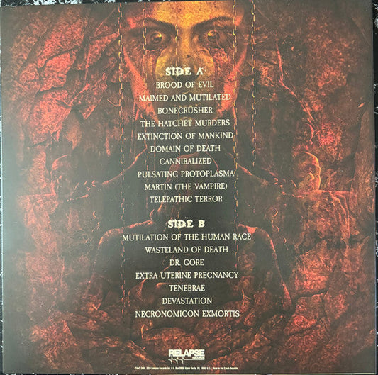 Mortician - Domain Of Death (VINYL) | Near Mint (NM) Near Mint (NM)