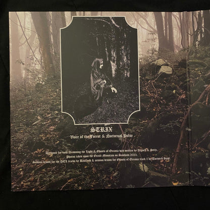 Drowning The Light - Mountain Of Malevolence (VINYL) | Near Mint (NM or M-)