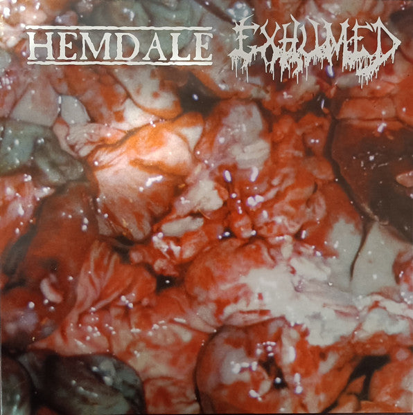 Hemdale - In The Name Of Gore (VINYL) | Near Mint (NM) Mint (M)