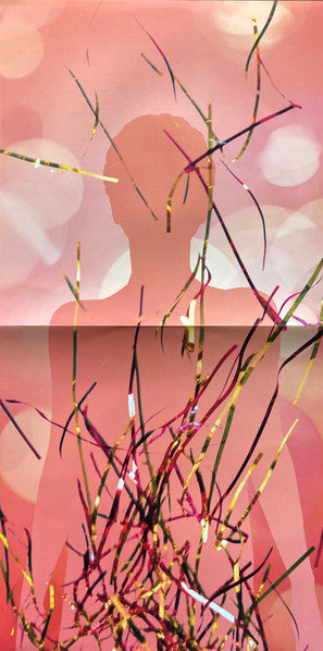 Deafheaven - Sunbather (2xVINYL) | Near Mint (NM) Near Mint (NM)
