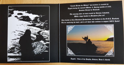 Drowning The Light - Cursed Below The Waves (VINYL) | Near Mint (NM) Near Mint (NM)