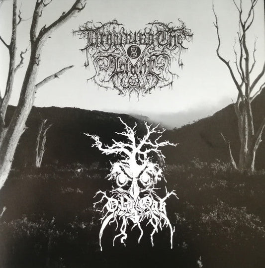 Old Oak - Old Oak / Drowning The Light (VINYL) | Near Mint (NM or M-) Near Mint (NM)