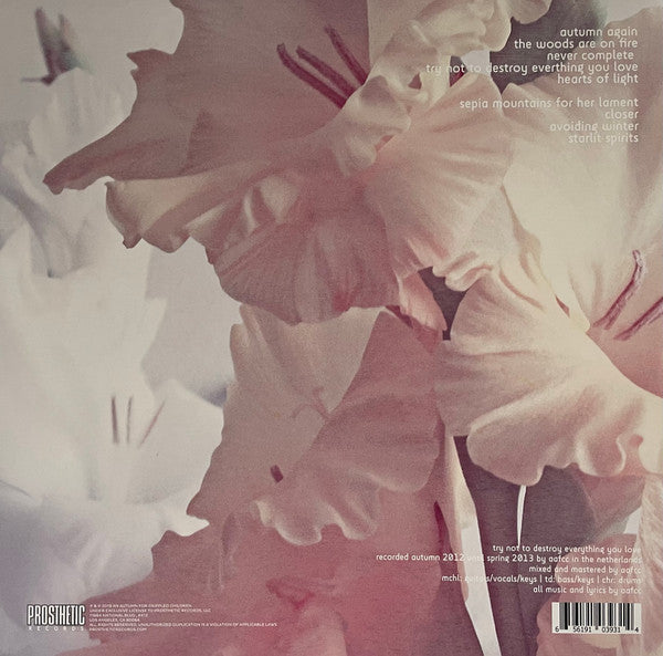 An Autumn For Crippled Children - Try Not To Destroy Everything You Love (VINYL) | Near Mint (NM) Near Mint (NM)