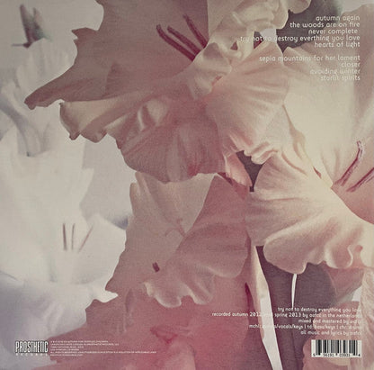 An Autumn For Crippled Children - Try Not To Destroy Everything You Love (VINYL) | Near Mint (NM) Near Mint (NM)