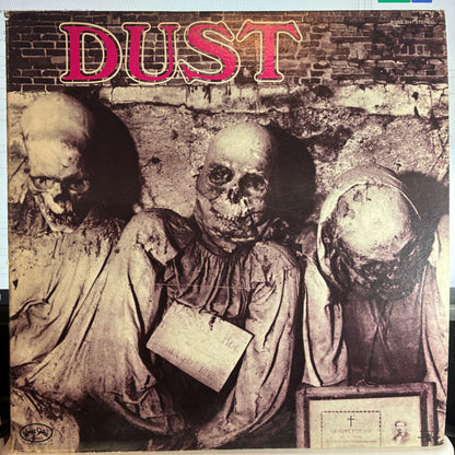 Dust (12) - Dust (VINYL) | Very Good Plus (VG+) Excellent (EX)