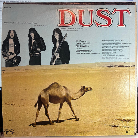 Dust (12) - Dust (VINYL) | Very Good Plus (VG+) Excellent (EX)
