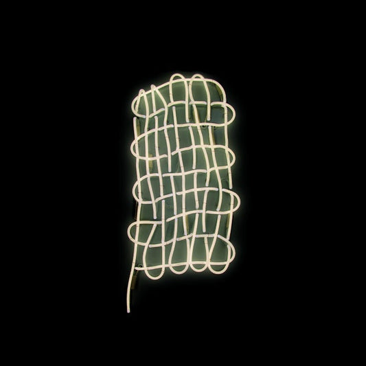 Plural Not Possessive |