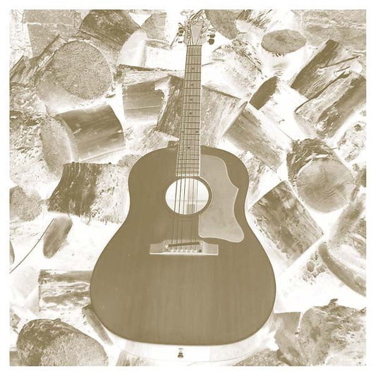 Solo Acoustic Volume Eleven - Homages |