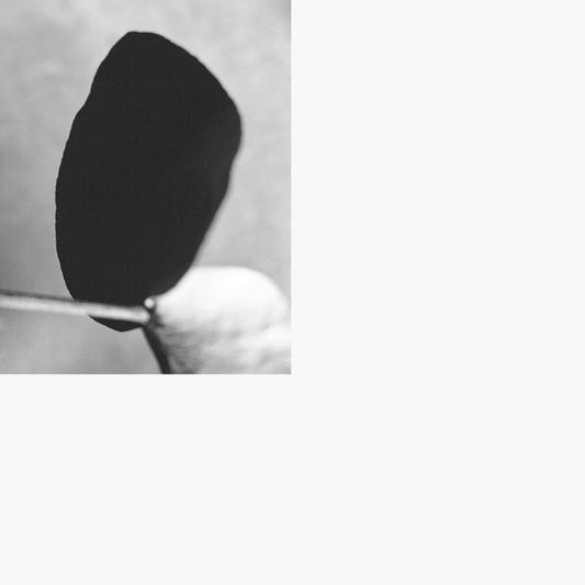 Classical Mechanics |