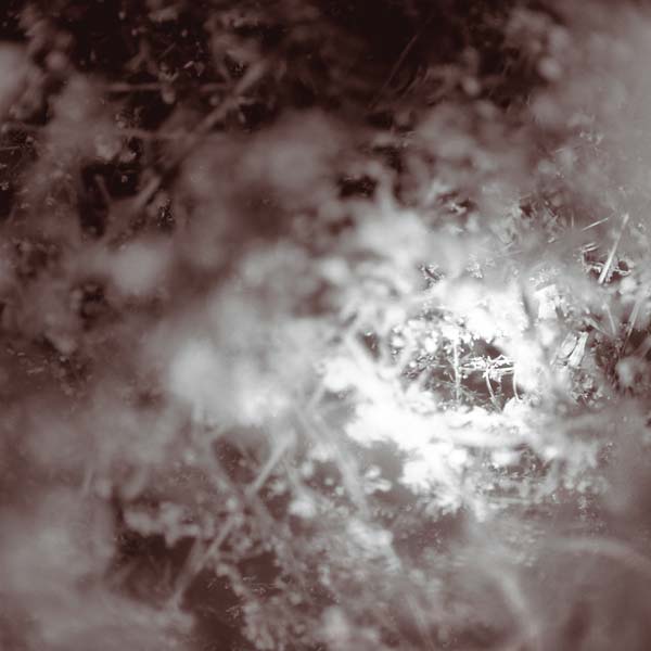 Don't Know, Just Walk |