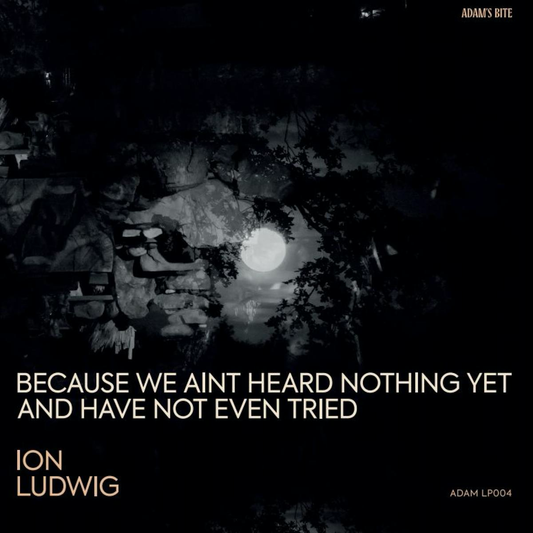 Ion Ludwig - (PRESALE TBD) Because We Aint Heard Nothing Yet And Have Not Even Tried (3xVINYL) | Mint (M) Mint (M)