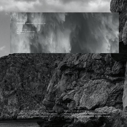 Prâslea - (PRESALE TBD) Habitual Psychosis EP (VINYL) | Mint (M) Mint (M)