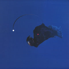 No Light Below (VINYL) | Mint (M) Mint (M)