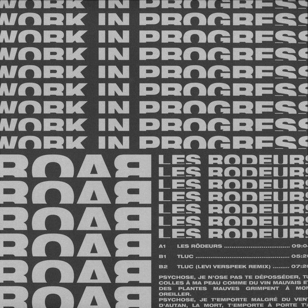 RoaЯ - Les Rôdeurs (12" VINYL) | Excellent (EX) Excellent (EX)