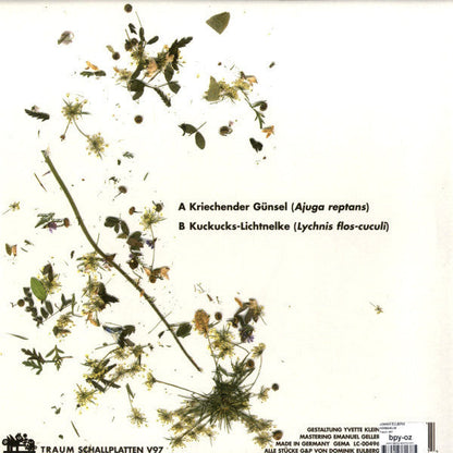 Herbarium | Very Good Plus (VG+)