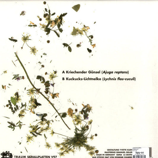 Herbarium | Very Good Plus (VG+)