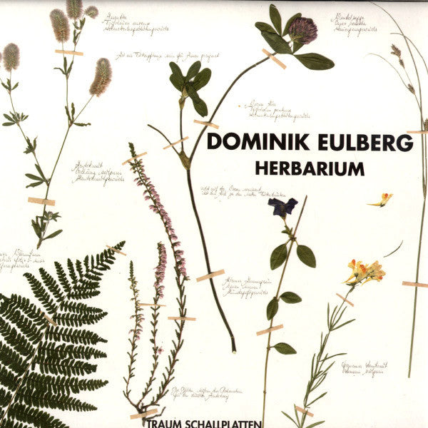 Herbarium | Very Good Plus (VG+)