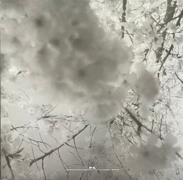 The Moon & Antarctica | Mint (M) Mint (M)