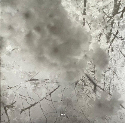 The Moon & Antarctica | Mint (M) Mint (M)