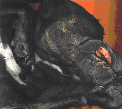 Hits of 76IX Part 2 |