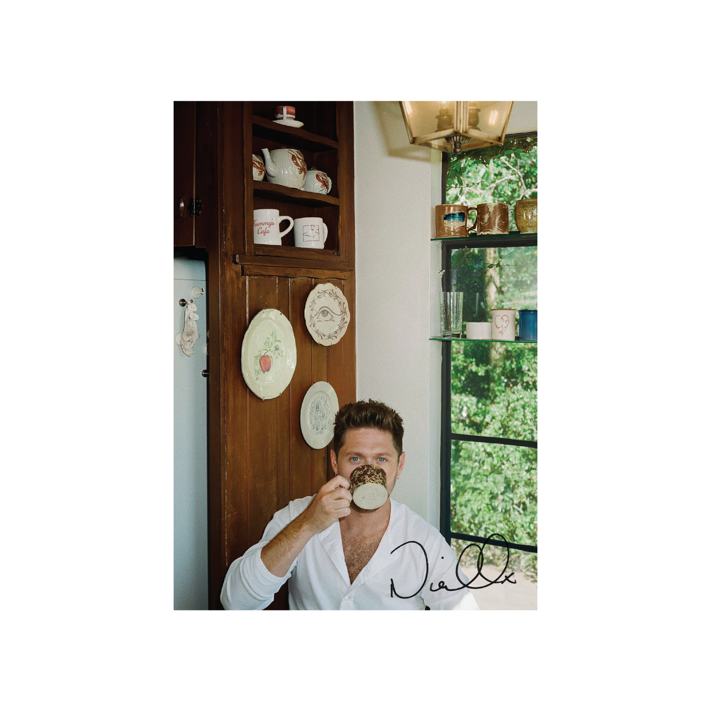 Niall Horan - Dinner Party (SIGNED INSERT PORCELAIN VINYL) | Mint (M) Mint (M)