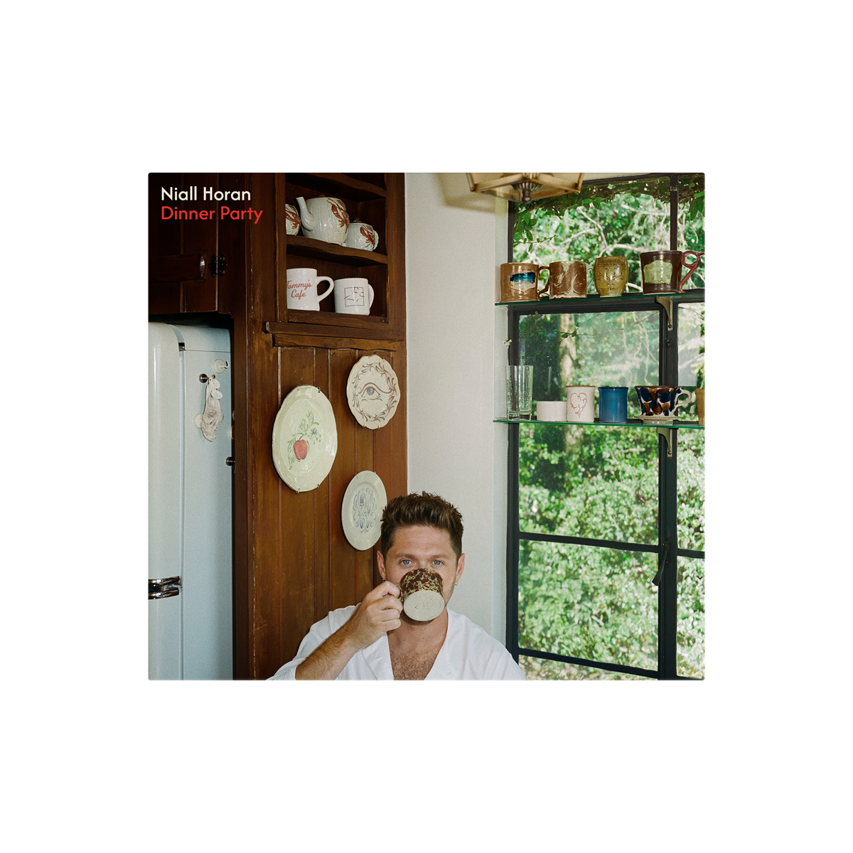 Niall Horan - Dinner Party (SIGNED INSERT PORCELAIN VINYL) | Mint (M) Mint (M)