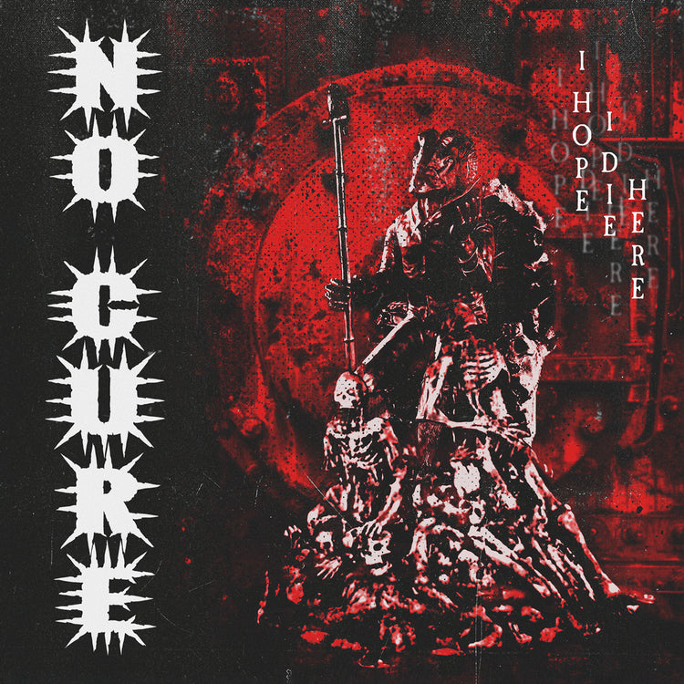 No Cure - (PRESALE 7/10/26) I Hope I Die Here (2x 7" VINYL) |