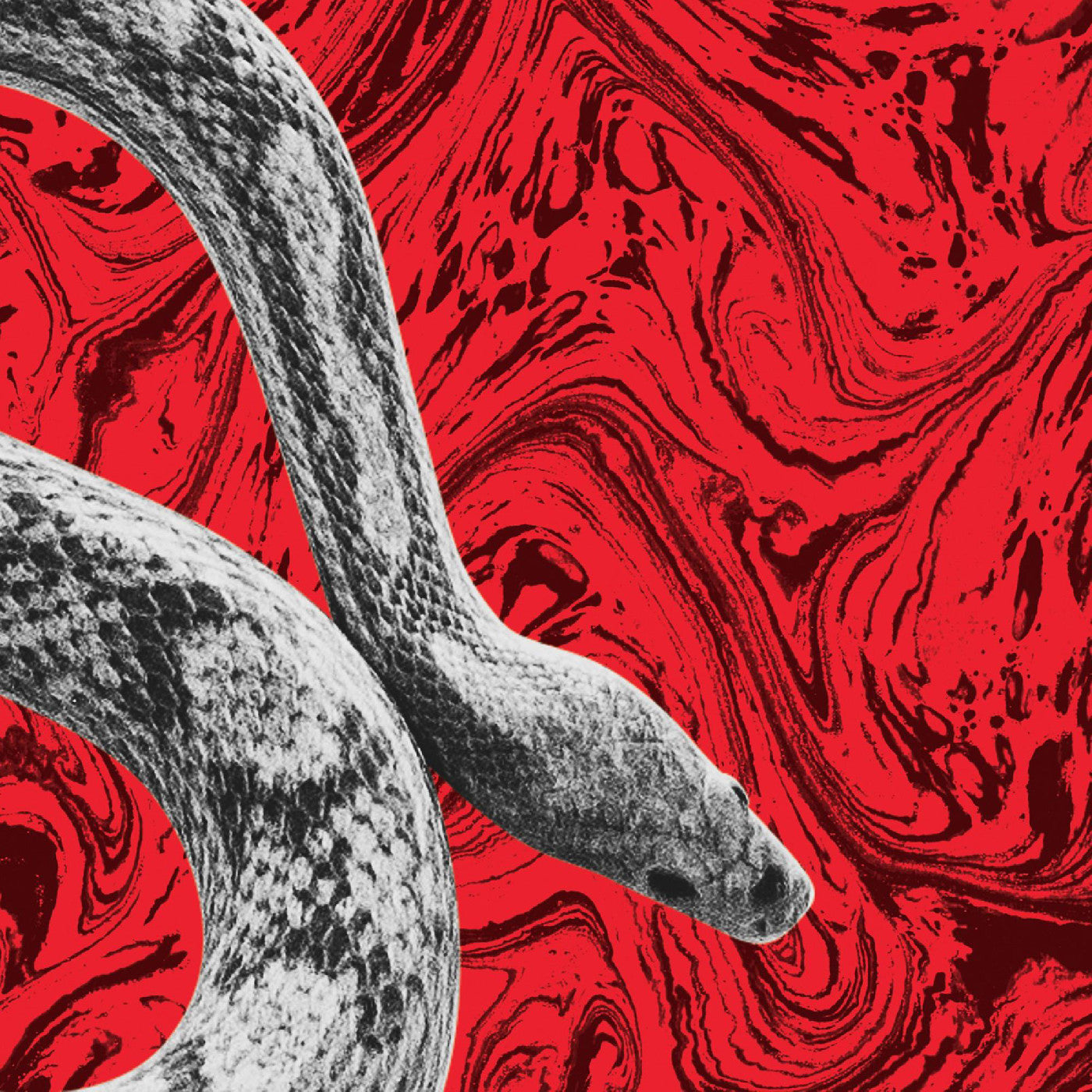 California/All Your Love (7" VINYL) | Mint (M) Mint (M)