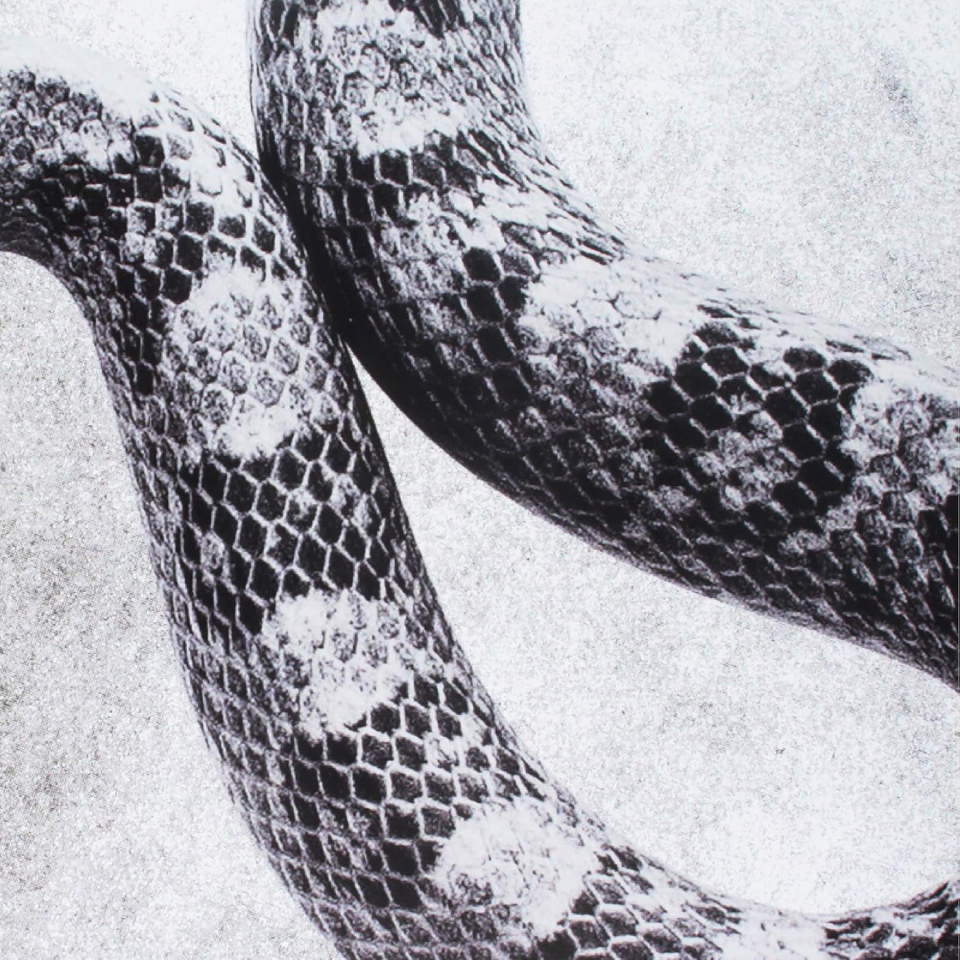 I'M Alright/Fine (7" VINYL) | Mint (M) Mint (M)