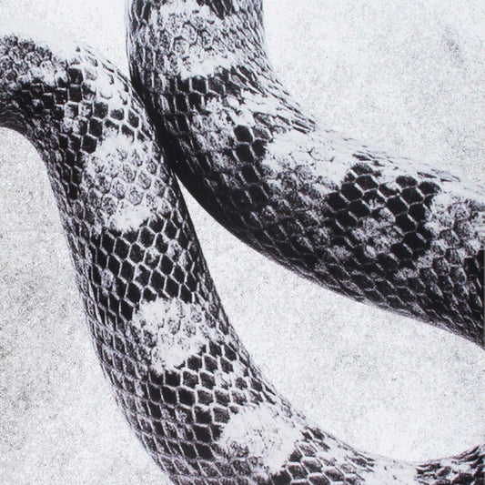 I'M Alright/Fine (7" VINYL) | Mint (M) Mint (M)