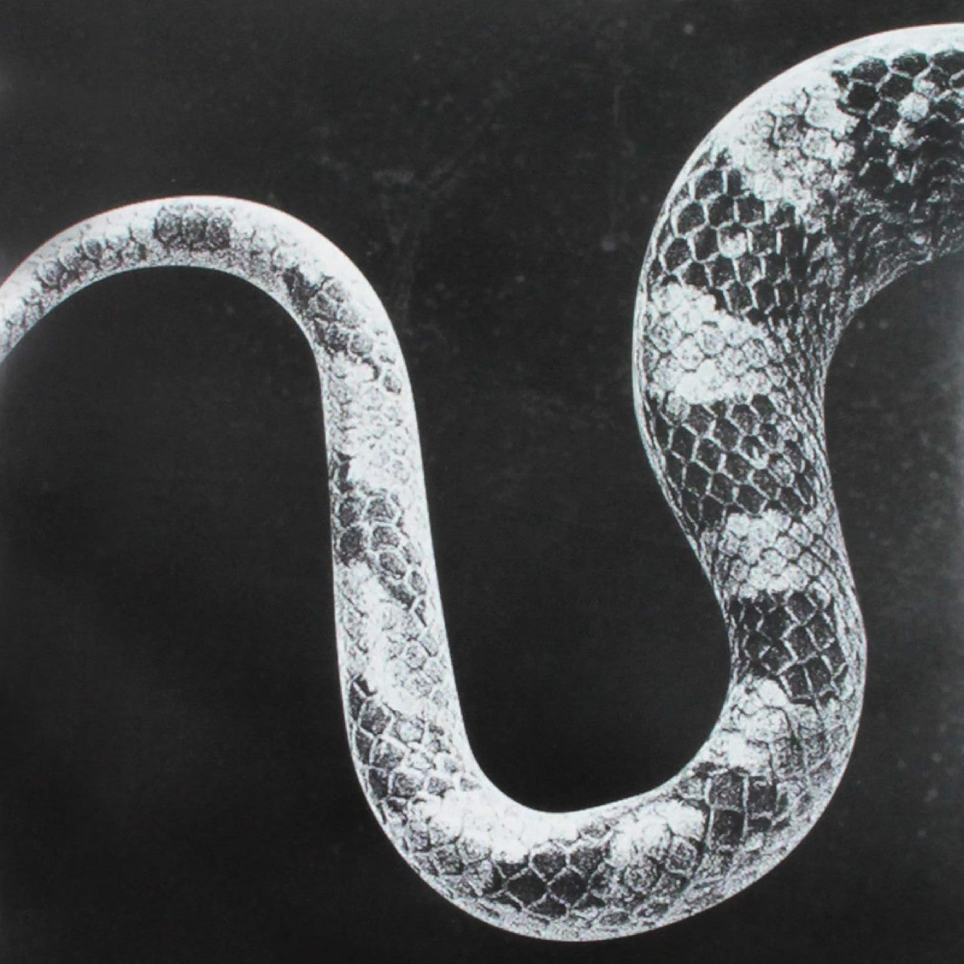 Sentimental Kids/Last Of The Leavers (7" VINYL) | Mint (M) Mint (M)