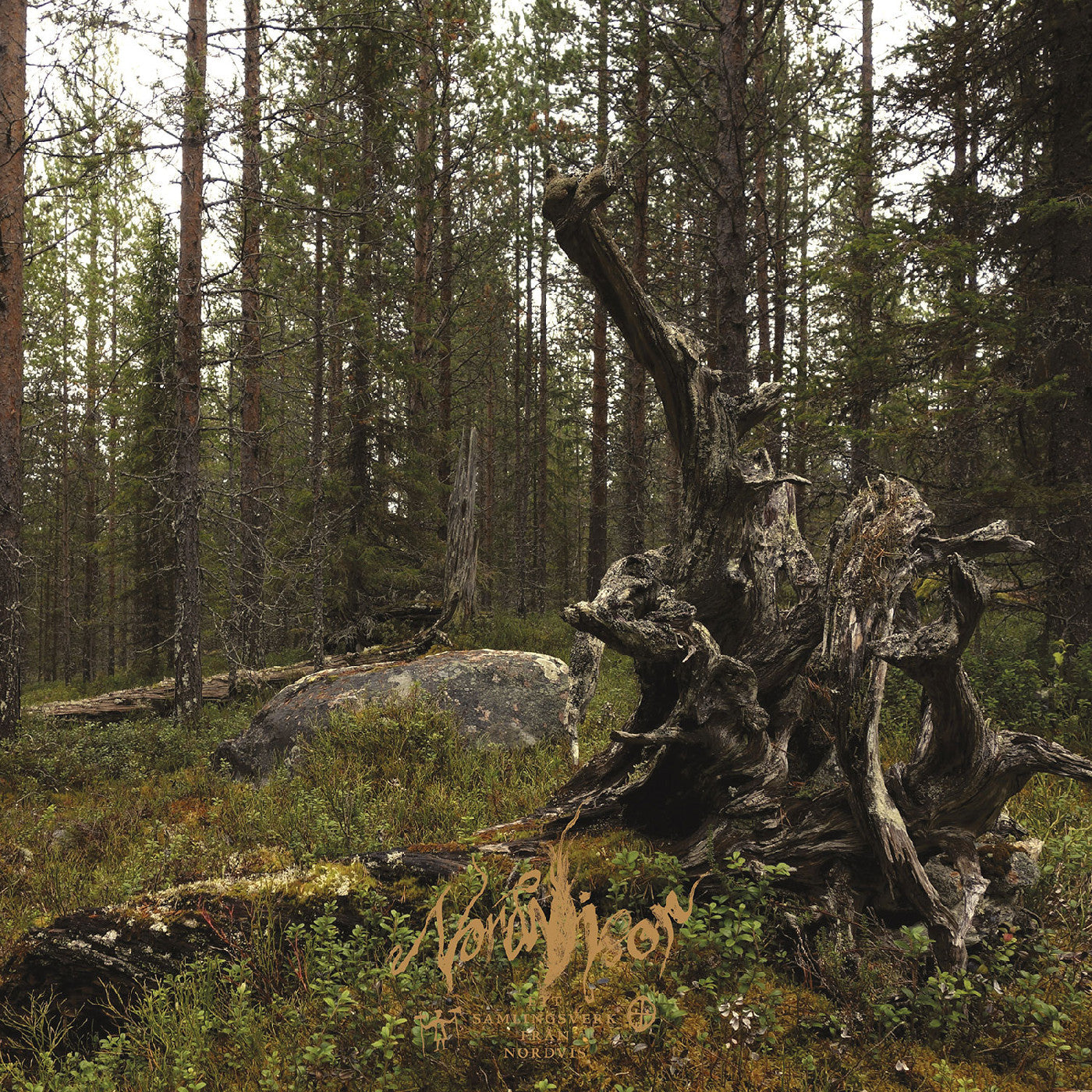 Ett samlingsverk från Nordvis (BLACK & GOLD / BLACK & COPPER VINYL) |