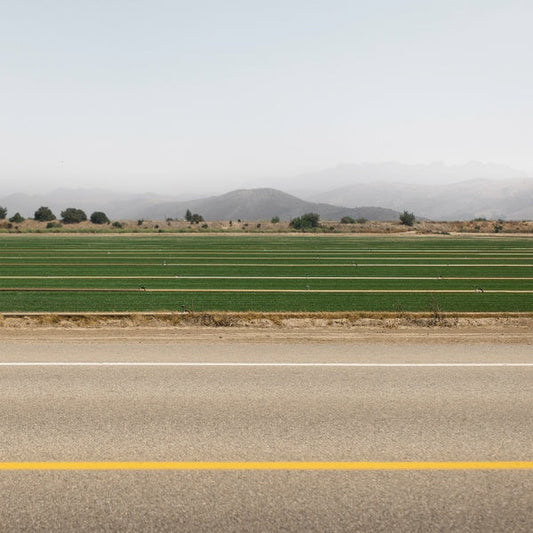 First Man in the Moon |