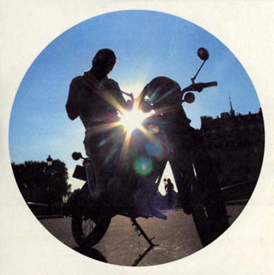 Gelatinosa Substancia |